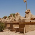 Aleja Sfinksów prowadząca do świątyni Amona w Karnaku