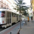 Biały tramwaj na ulicy w Brnie